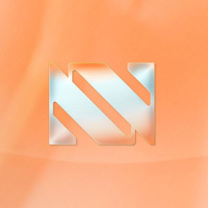 Nina Group