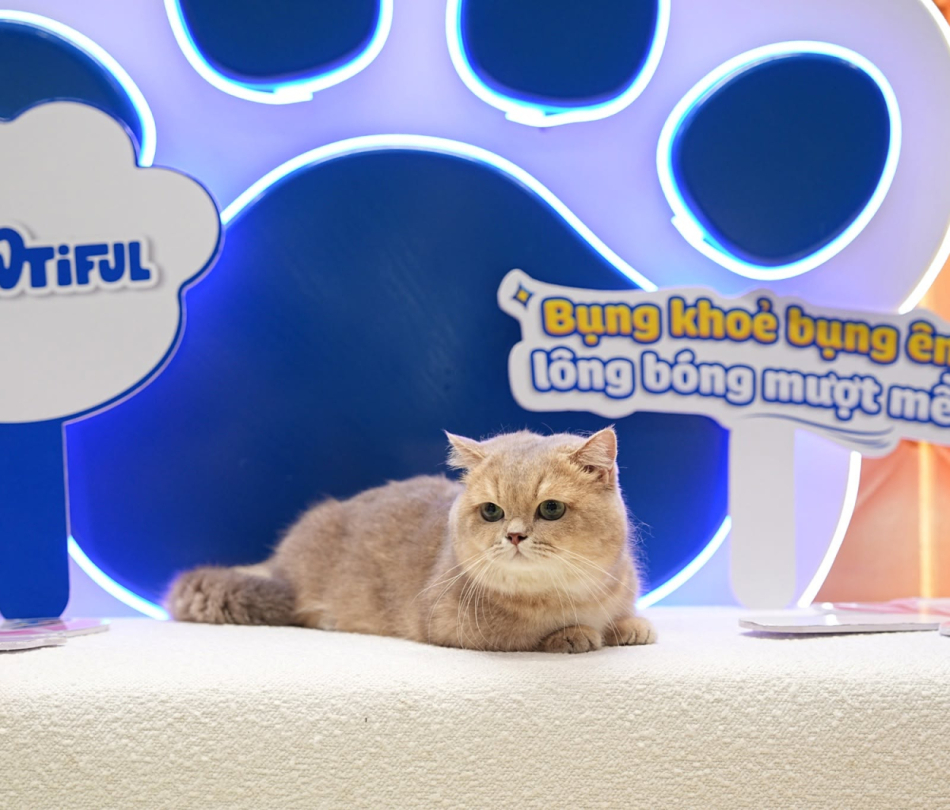 Sự kiện triển lãm gian hàng Pawtiful tại InterPetFest 2026 — SECC, TP.HCM